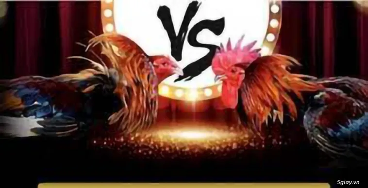 Hướng Dẫn Cách Chơi Đá Gà GA28 Tại 789Win Hiệu Quả Nhất