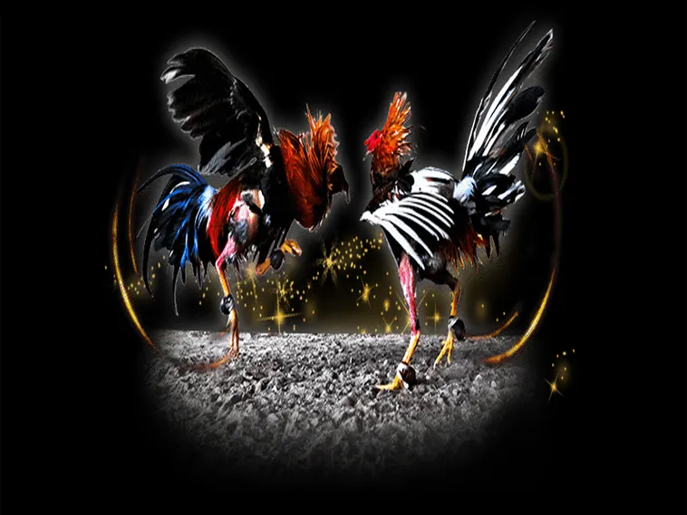 Đá Gà 789Win: Khám Phá Sân Chơi Cá Cược Kịch Tính Hàng Đầu 2025 1 Đá Gà 789Win: Khám Phá Sân Chơi Cá Cược Kịch Tính Hàng Đầu 2025